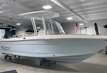 2023 Robalo R242 Ice Blue Boat